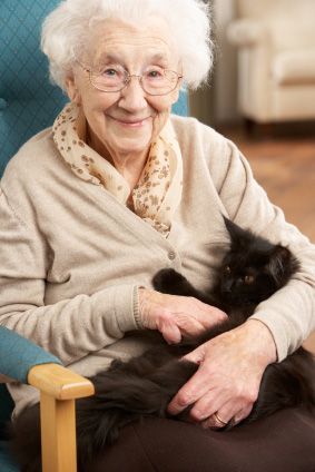 Lady sitting with cat
