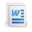 Microsoft Word Document Application Form